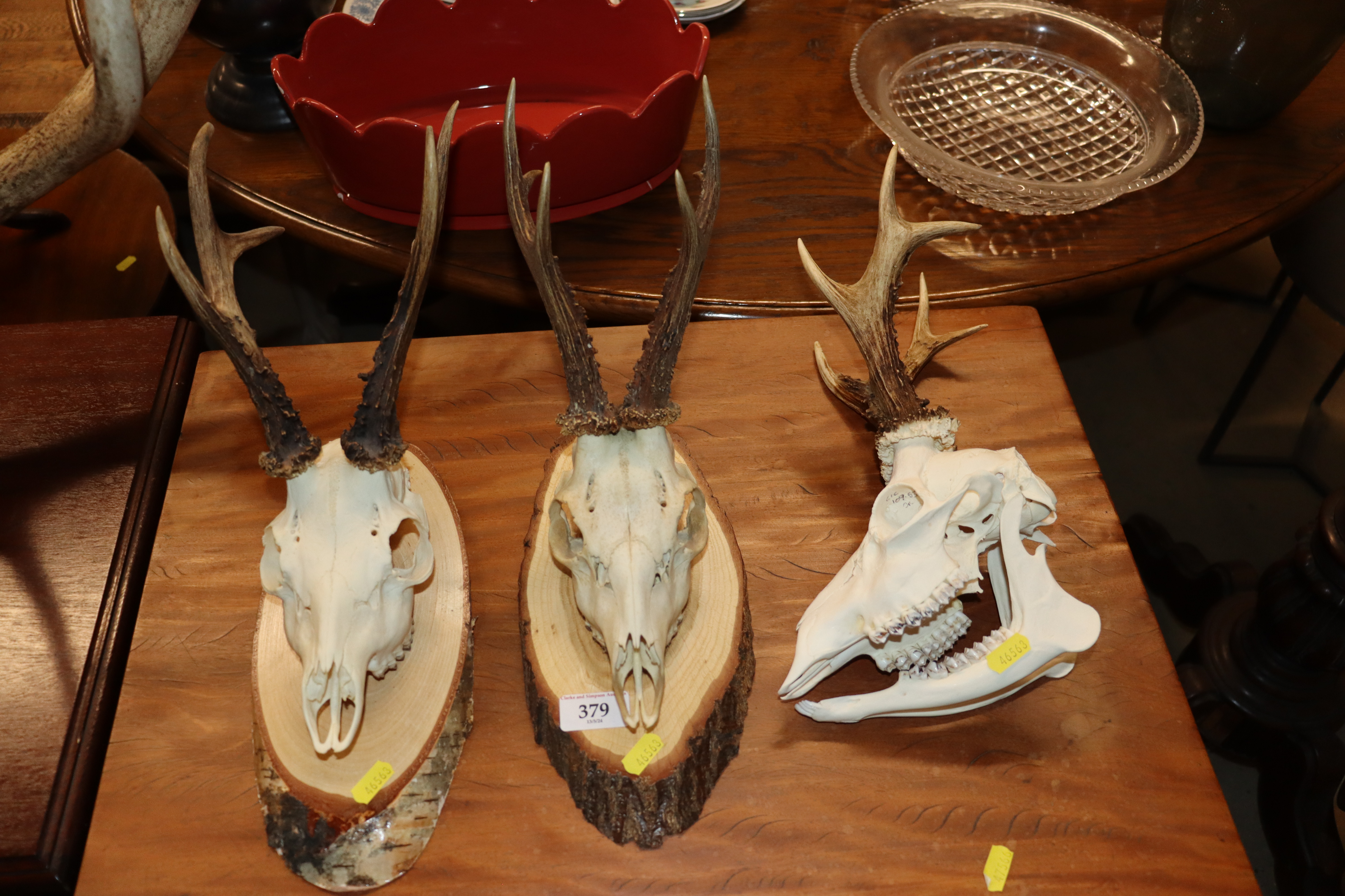 Three hunting trophies