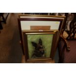 An oil on board depicting an Alsatian; a framed an