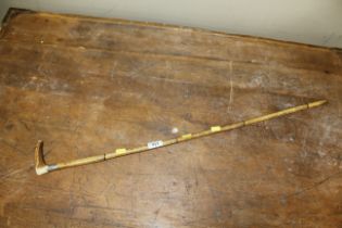 A horn handled walking stick with white metal coll