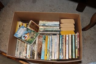 A box of Louis Lanour books