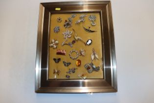 A framed collection of various costume brooches