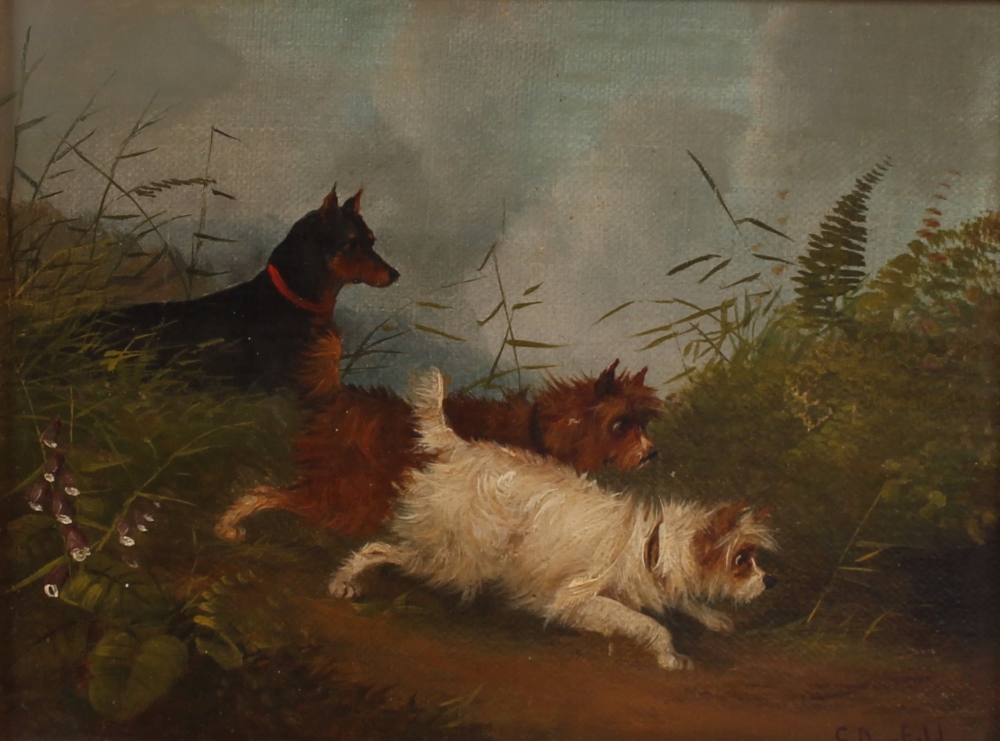 Edward Armfield, studies of terriers hunting, a pair, signed oils on board, 16.5cm x 22cm - Bild 3 aus 4