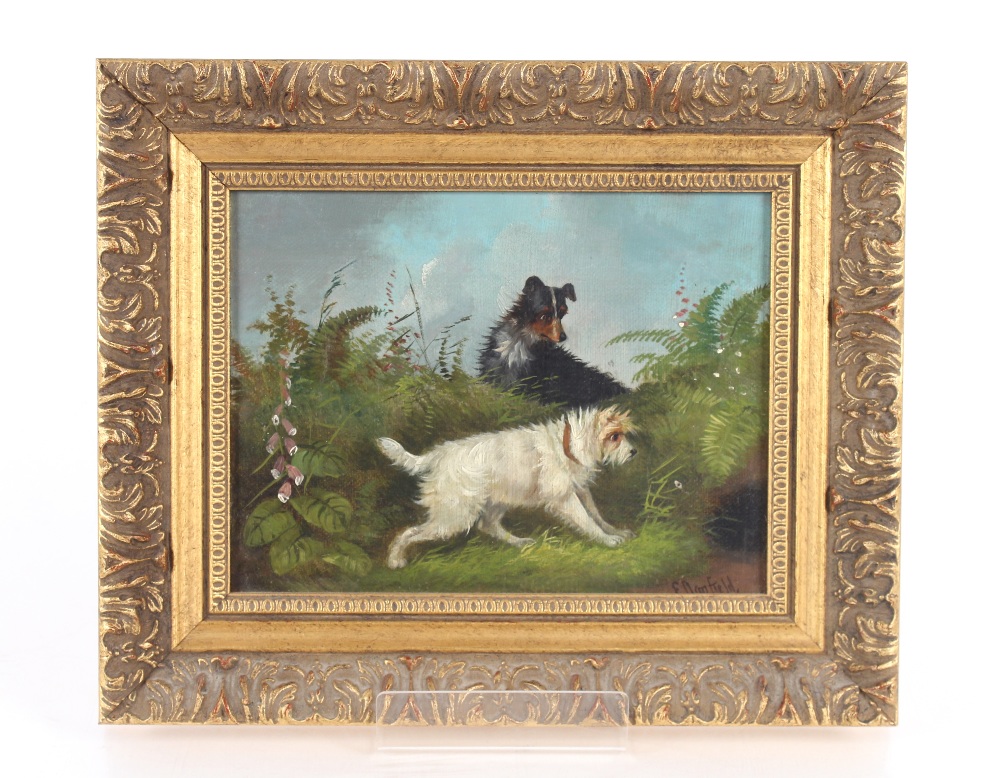 Edward Armfield, studies of terriers hunting, a pair, signed oils on board, 16.5cm x 22cm - Image 2 of 4