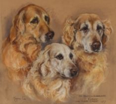 Marjorie Cox, canine study "Jenny of Aldecarr, Elphin, and Gold Crest", signed and dated 1967,