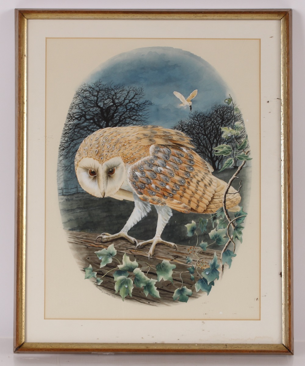 Michael J. Loates, 20th Century study of a barn owl, signed watercolour dated 1976, 37cm x 28cm in - Image 2 of 2