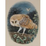 Michael J. Loates, 20th Century study of a barn owl, signed watercolour dated 1976, 37cm x 28cm in