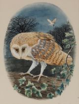 Michael J. Loates, 20th Century study of a barn owl, signed watercolour dated 1976, 37cm x 28cm in