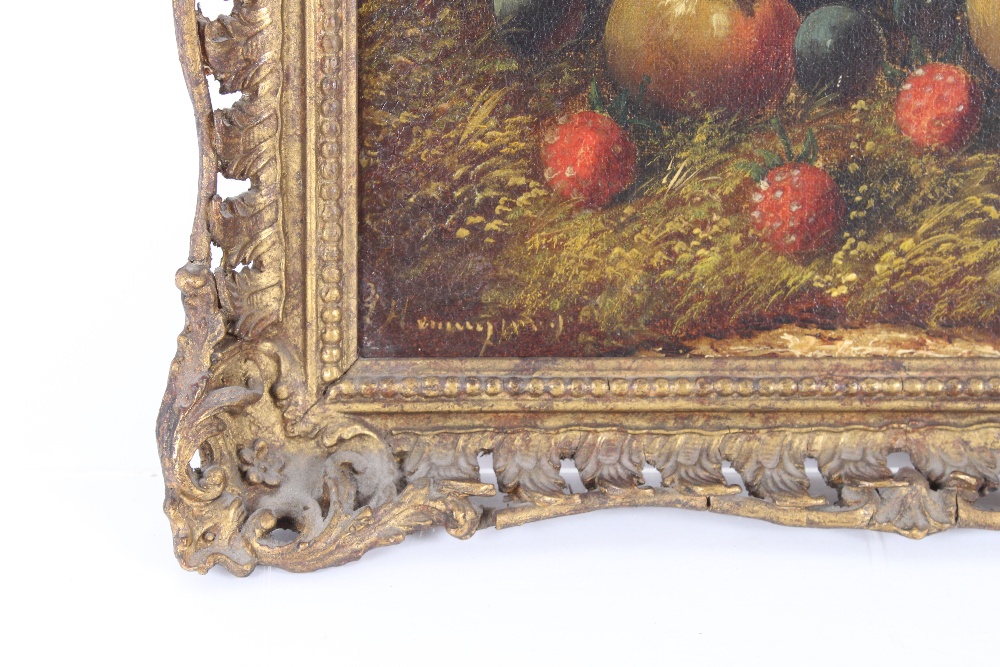 G. Hemmingway, still life studies a pair, depicting fruit in a hedgerow, signed oils on canvas, 24. - Image 2 of 7