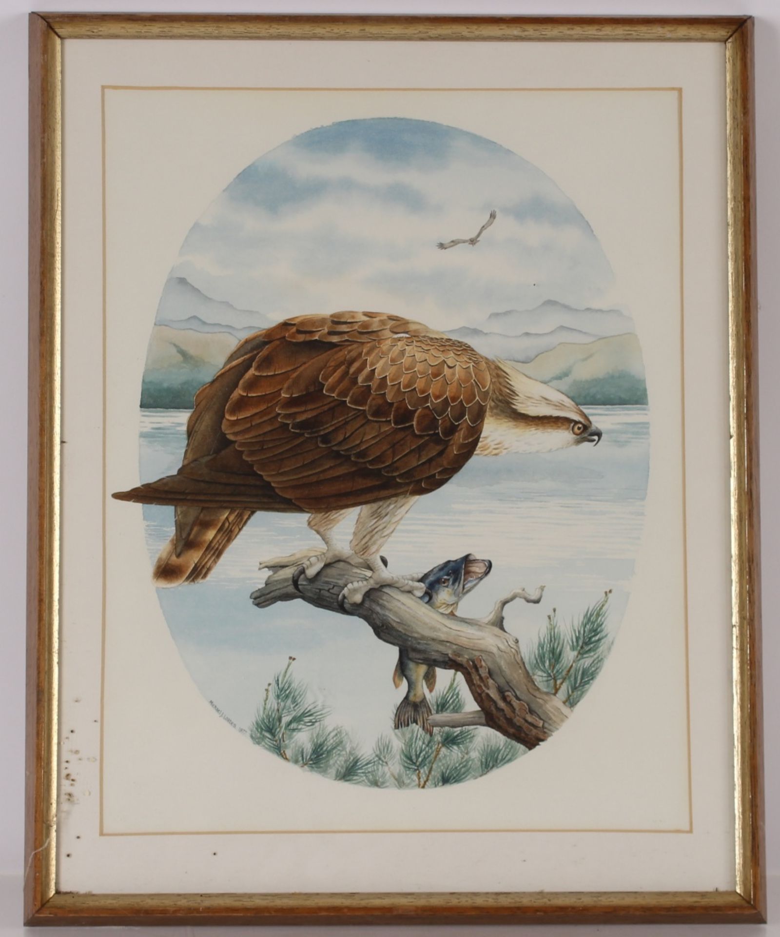 Michael J. Loates, "Osprey and Pike" signed watercolour dated 1977, 37cm x 28cm in extremes - Image 2 of 4