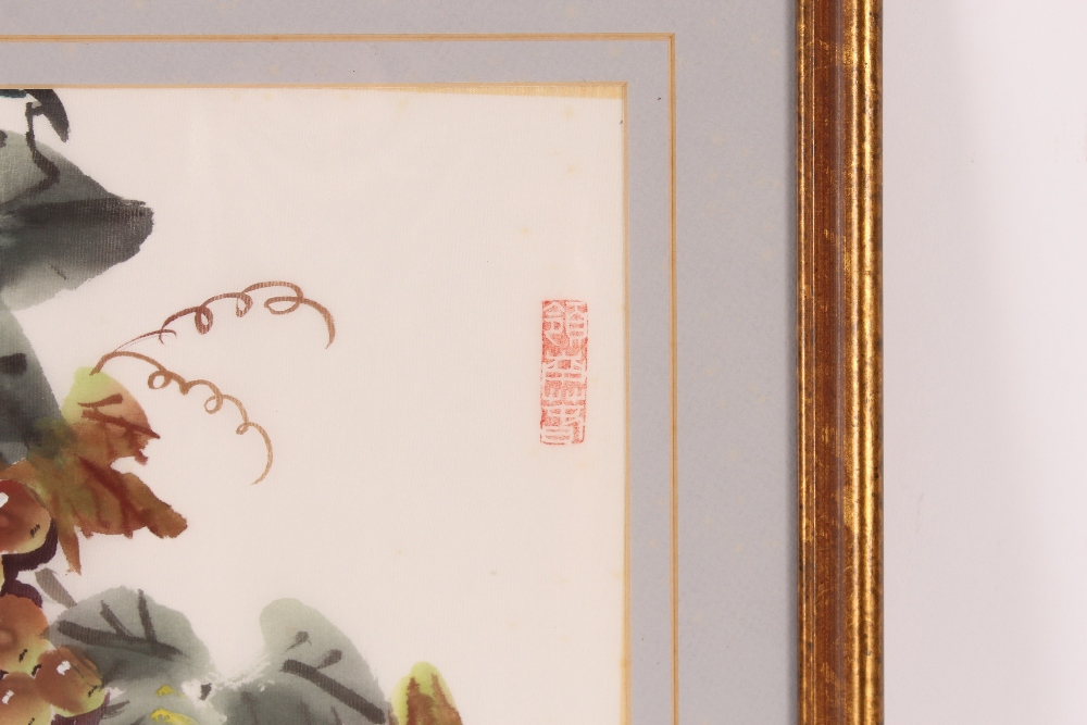 Mid 20th Century Chinese watercolour of berries and leaves, multiple artists seal marks; and a mid - Bild 7 aus 8