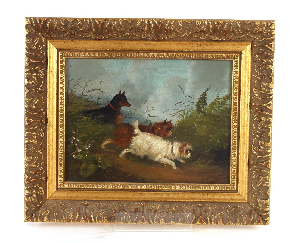 Edward Armfield, studies of terriers hunting, a pair, signed oils on board, 16.5cm x 22cm - Image 4 of 4