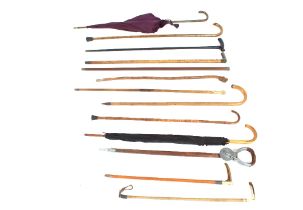 A collection of various walking sticks, riding crops and umbrellas