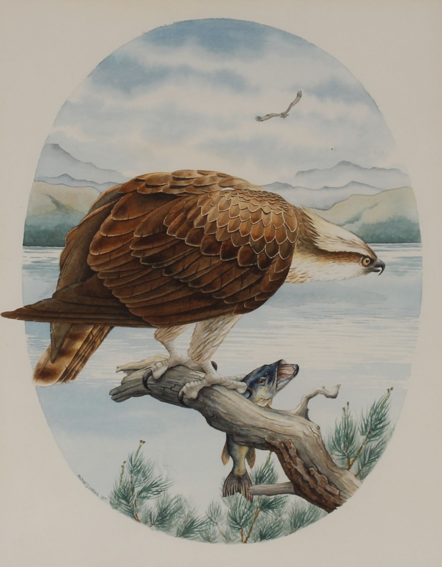 Michael J. Loates, "Osprey and Pike" signed watercolour dated 1977, 37cm x 28cm in extremes