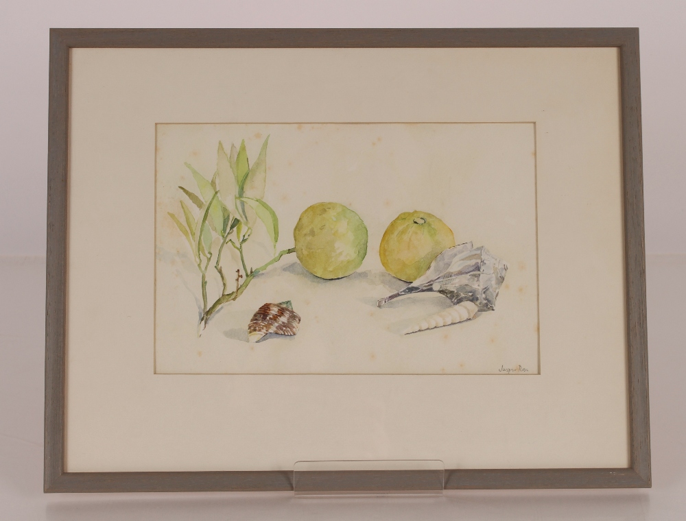 Jasper Rose (modern British), study of fruit and seashells, signed watercolour 17.5cm x26cm - Image 2 of 3