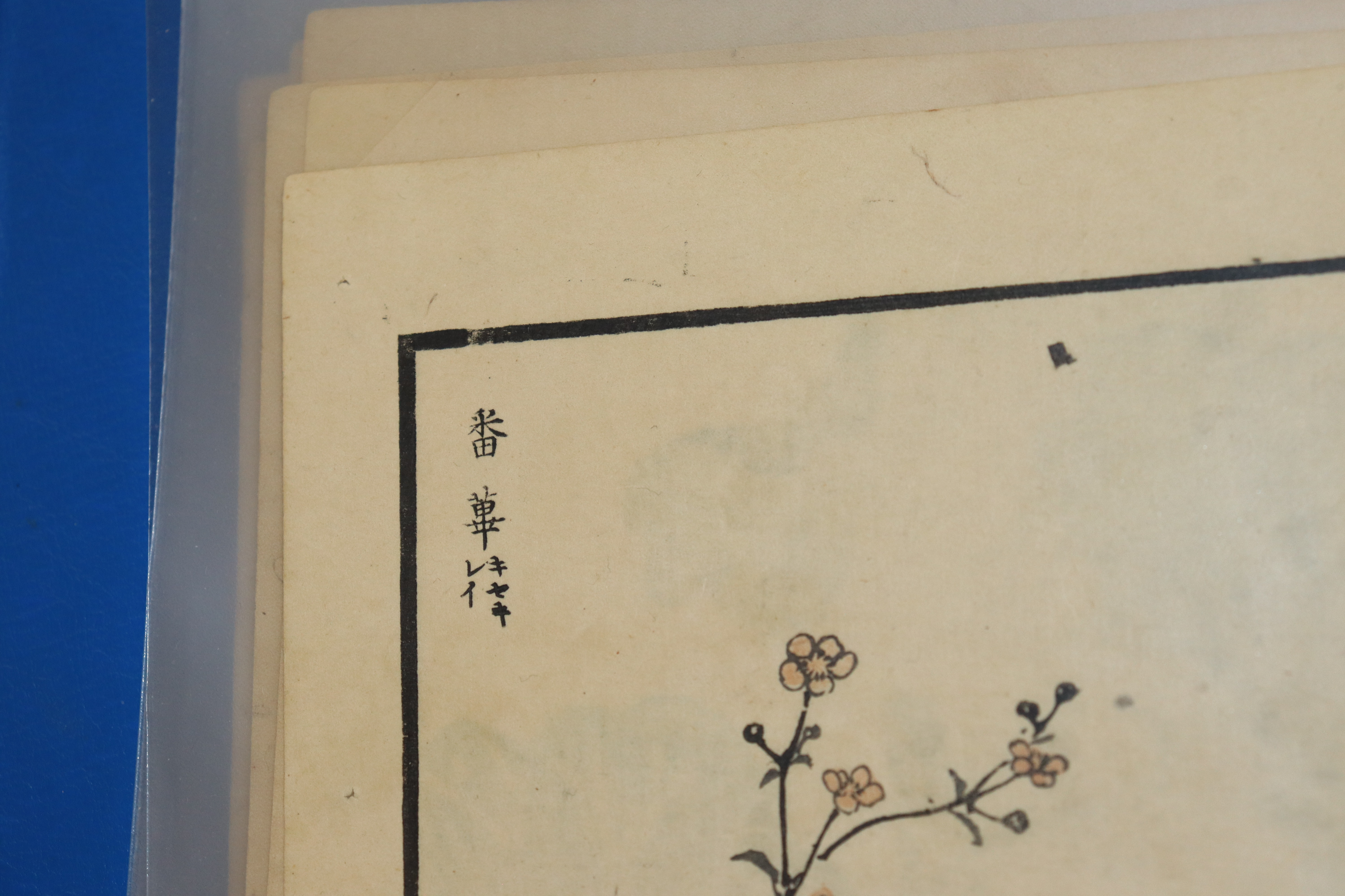 A folder containing Oriental studies of birds and - Image 46 of 126