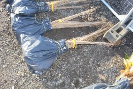 50x Wild Cherry (Prunus Aviun) hedging plants App