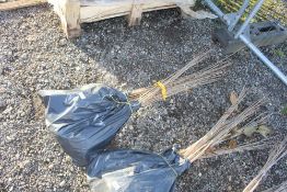 50x Wild Cherry (Prunus Aviun) hedging plants App