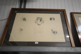 A framed black & white print depicting a Spaniel