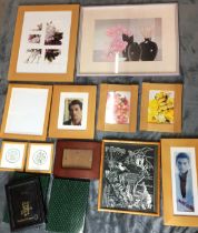 Box containing thirteen picture/photo frames largest 51 x 41cm and smallest 14 x 12.