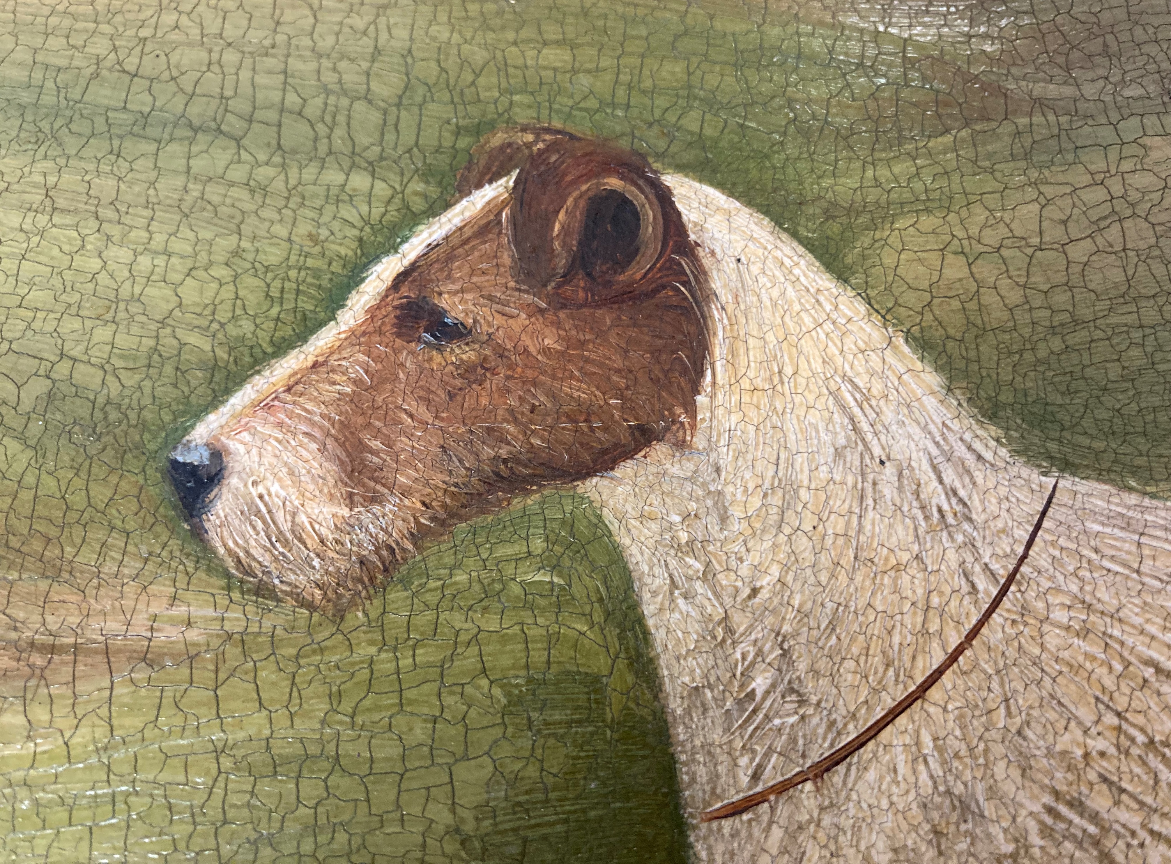 H Crowther 1923, 'Stapenhill Wiregirls Legacy', study of a fox terrier, oil on canvas, - Image 17 of 32