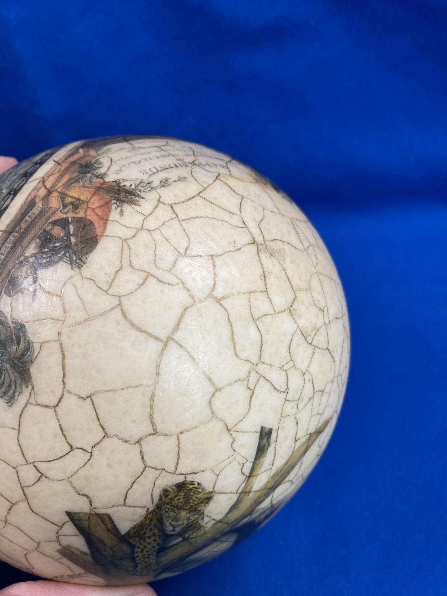 A decorated ostrich egg with World Map and Africa animal scene (approximately 16cm high) with a - Image 9 of 11
