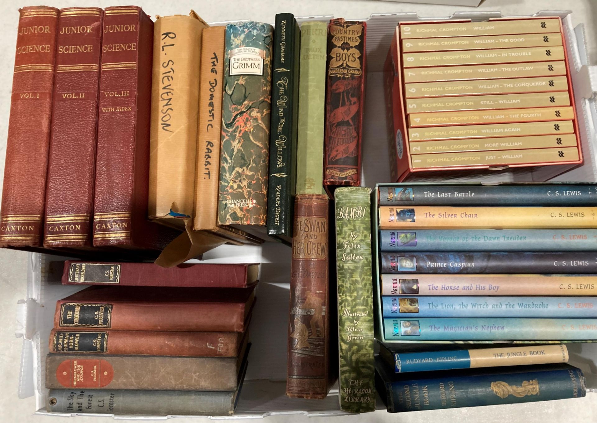 Contents to tray - a selection of mainly children's books including C S Lewis 'The Chronicles of
