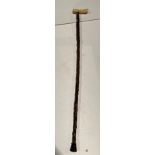 Brown wooden hand made walking stick with silver collar and a resin hand-carved acorn and leaf