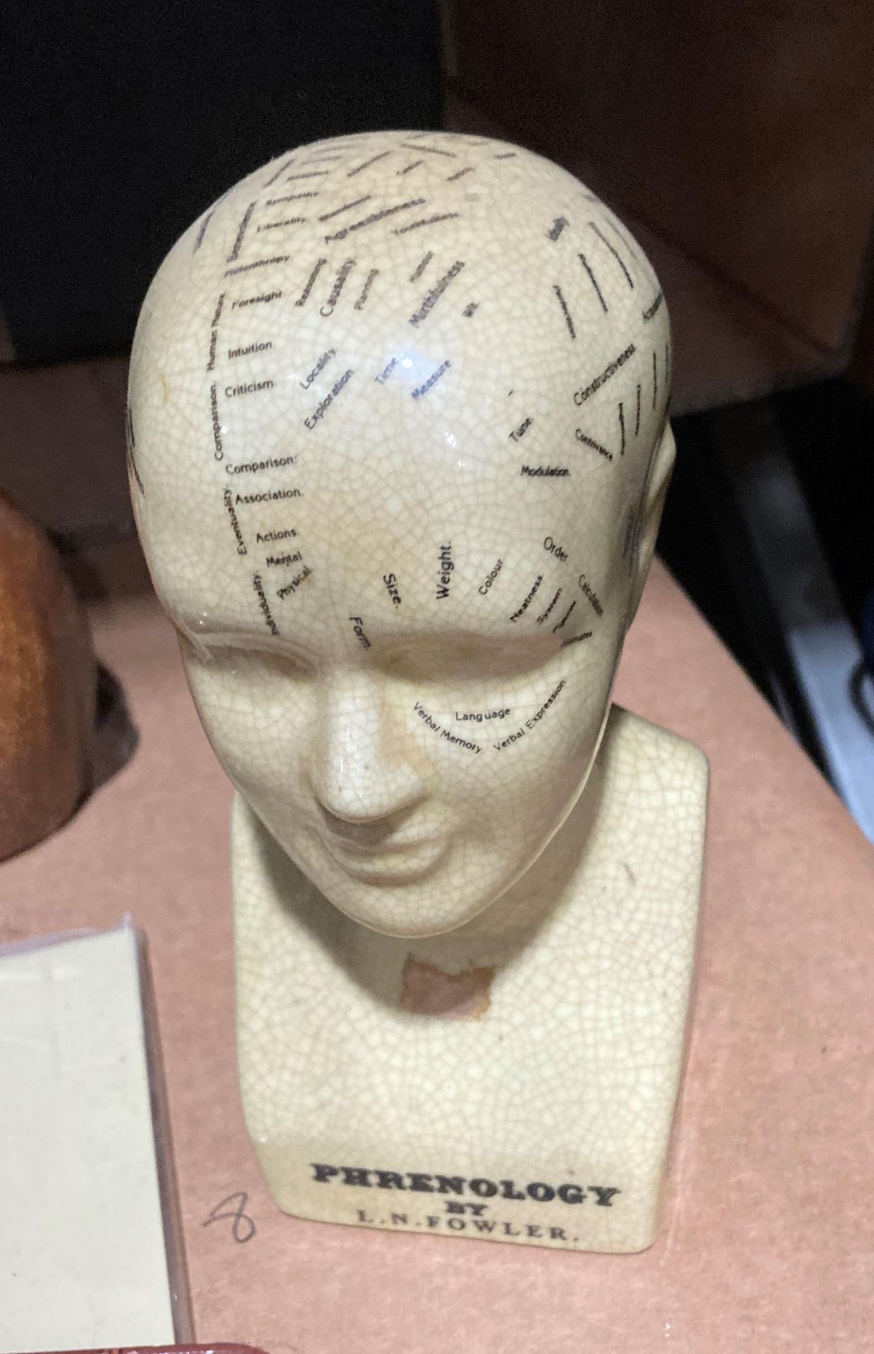 An LN Fowler reproduction phrenology head, articulated artist's model, model cats, three watches, - Image 2 of 4