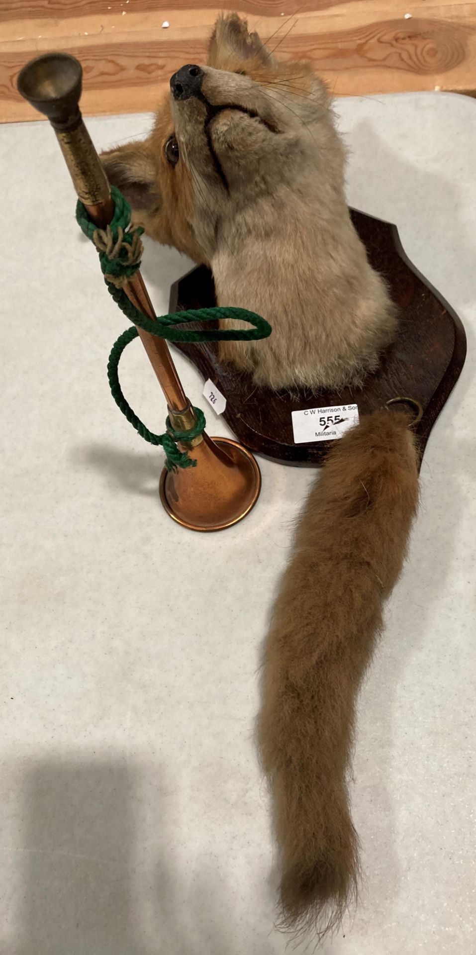 Taxidermy - a foxes head mounted on wooden plaque complete with a foxes tail and a small copper