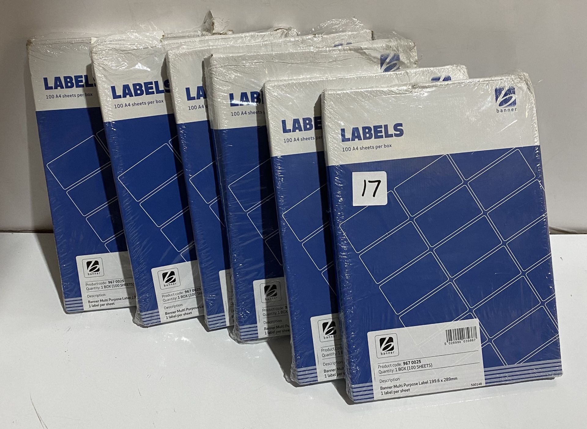 6 x packs of 100 sheets each A4 multi purpose label 199x289mm one label per sheet ((saleroom