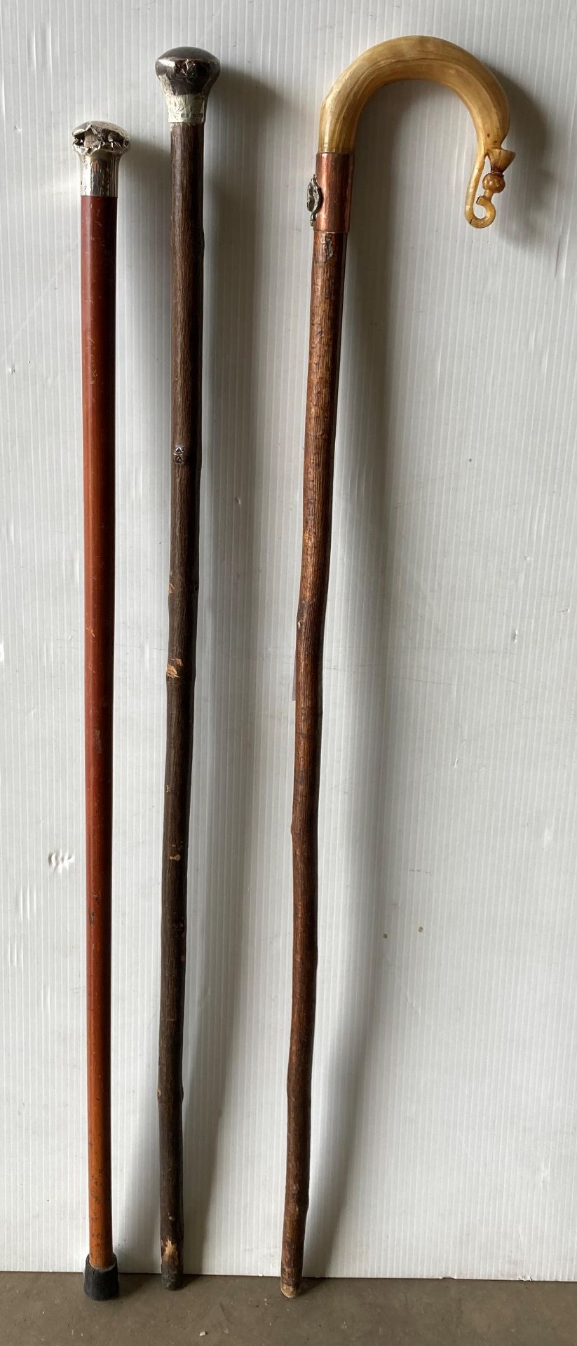 Two silver hallmarked handled walking canes/sticks and a horn handled walking stick with carved