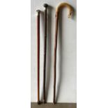 Two silver hallmarked handled walking canes/sticks and a horn handled walking stick with carved