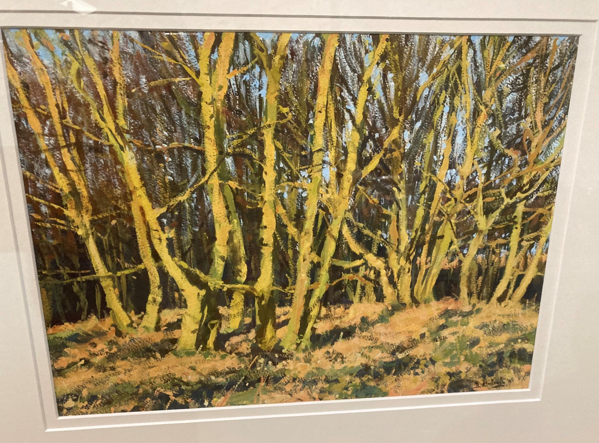 † Bruce Mulcahy, framed gouache 'Late Afternoon Sun, Lady Wood' with label to verso, - Image 2 of 3