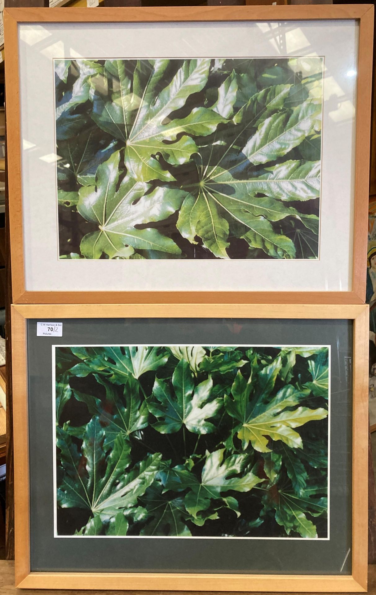 Norman Eastwood (1935-2022), two framed photo prints of leaves,