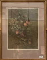 S Benningfield, framed limited edition print 'Butterflies and bees on fruit', 45cm x 32cm,