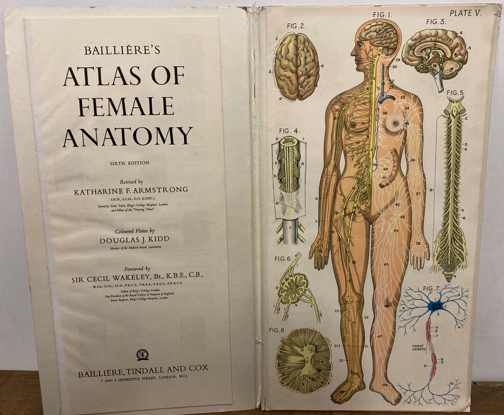 Baillieres 'Atlas of Female Anatomy' Sixth Edition revised by Katharine F Armstrong, - Image 2 of 5