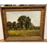 HSF June 1901, ornate gilt framed oil on canvas 'Trees in a landscape - Ashwell Clump, Herts',