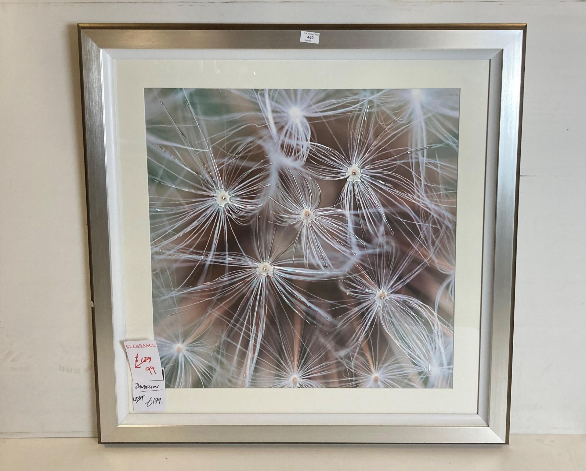 Artiko Designs 'Whispering Dandelion' wall decoration in wooden frame,