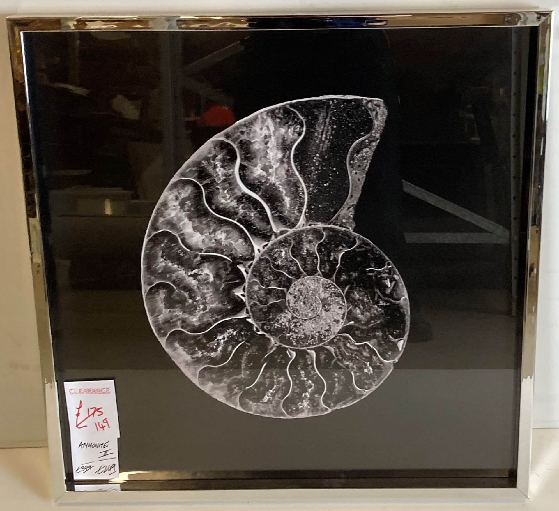 A framed Ammonite print in silvered frame, - Image 2 of 2