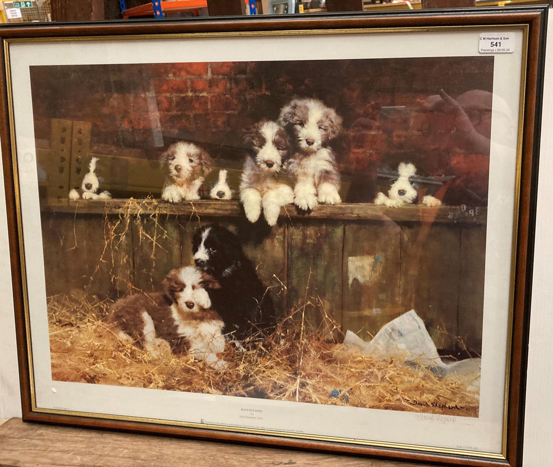 † David Shepherd (1931-2017) framed print 'Muffin's Pups' 50cm x 63cm,