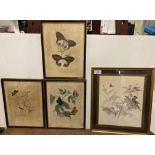 Three framed Lepidoptera prints and a framed watercolour of butterflies (4) (Saleroom location: