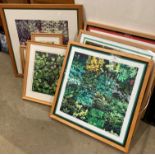 Six larger framed pictures and photo prints featuring leaves (Saleroom location: MA6)