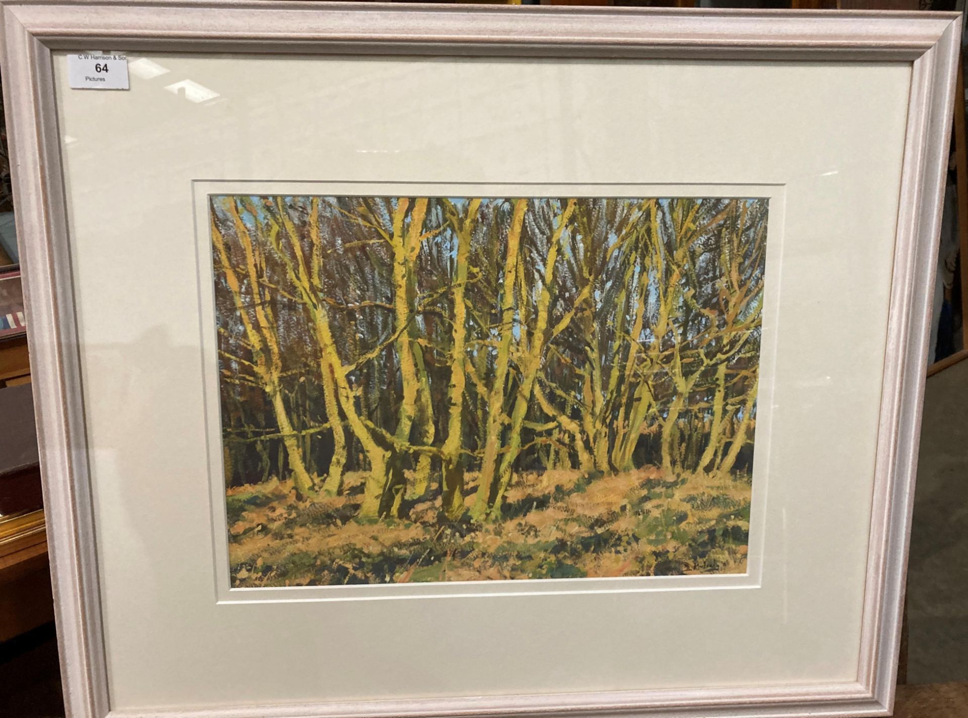 † Bruce Mulcahy, framed gouache 'Late Afternoon Sun, Lady Wood' with label to verso,