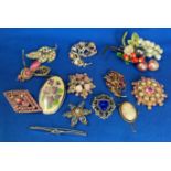 Twelve brooches including a silver (800) cameo brooch,