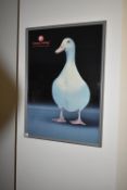 *Cherry Valley Framed Print of a Duck