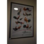 *Framed Wild Poultry Picture