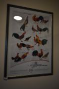 *Framed Wild Poultry Picture