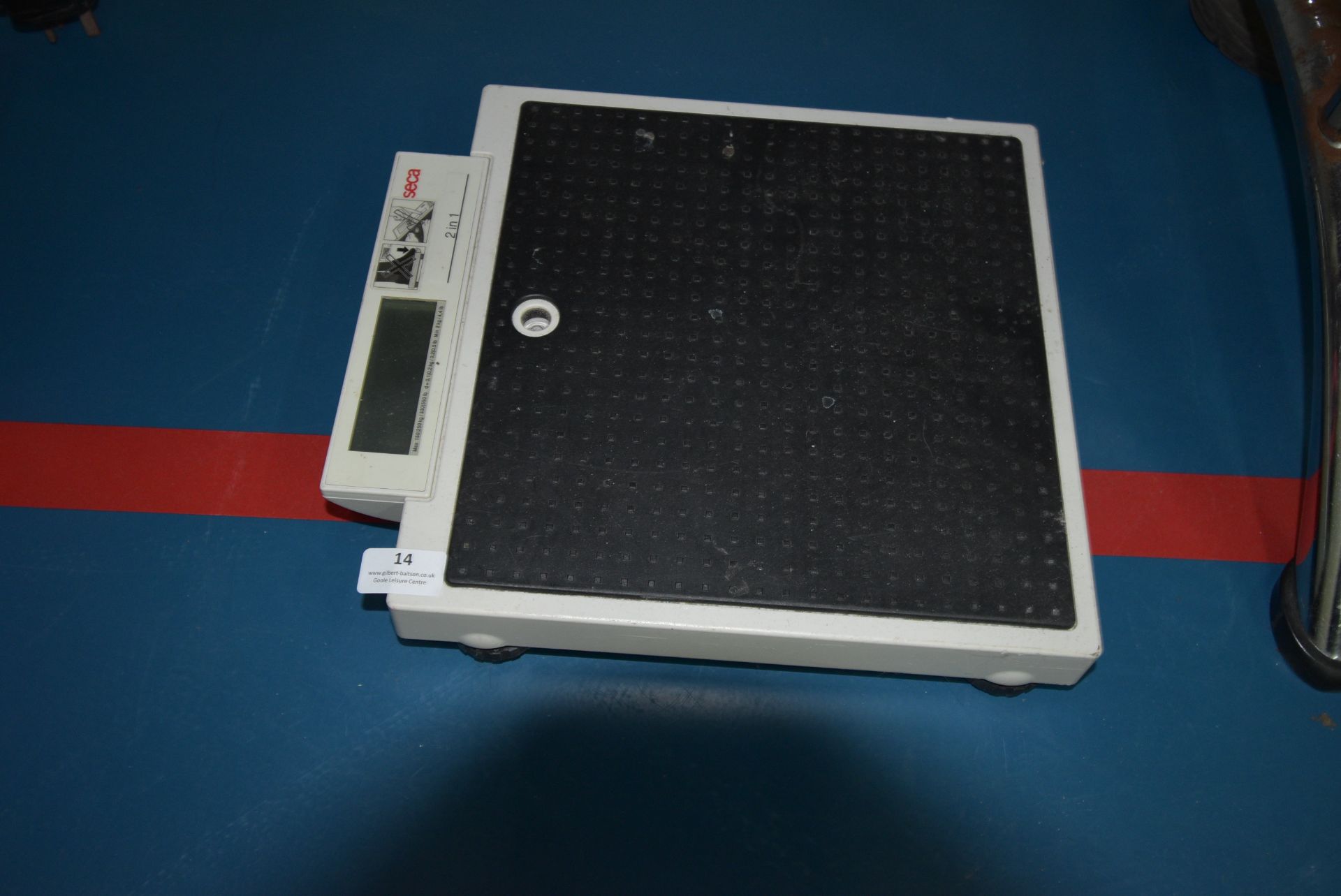 Seca 2-in-1 Scales