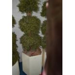 Artificial Plant in Pot Approx 170cm Total Height