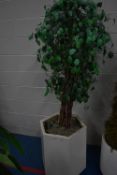 Artificial Plant in Pot Approx 180cm Total Height